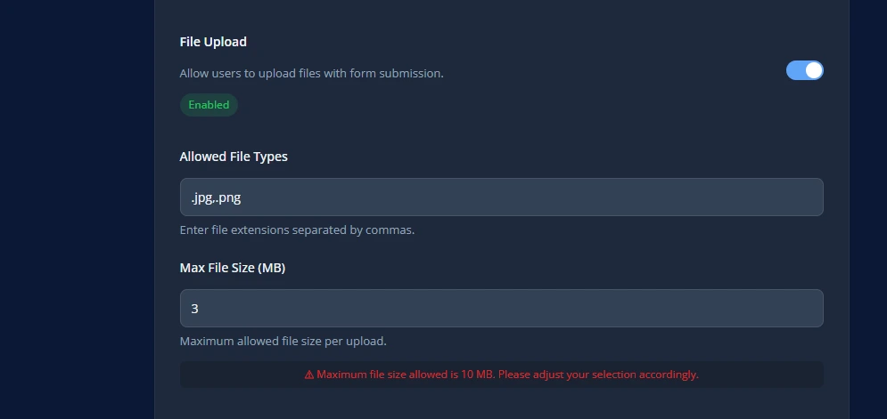 File upload setting